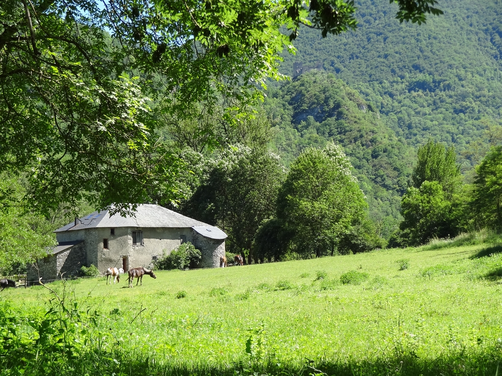 Vue extérieure depuis l'entrée de la ferme