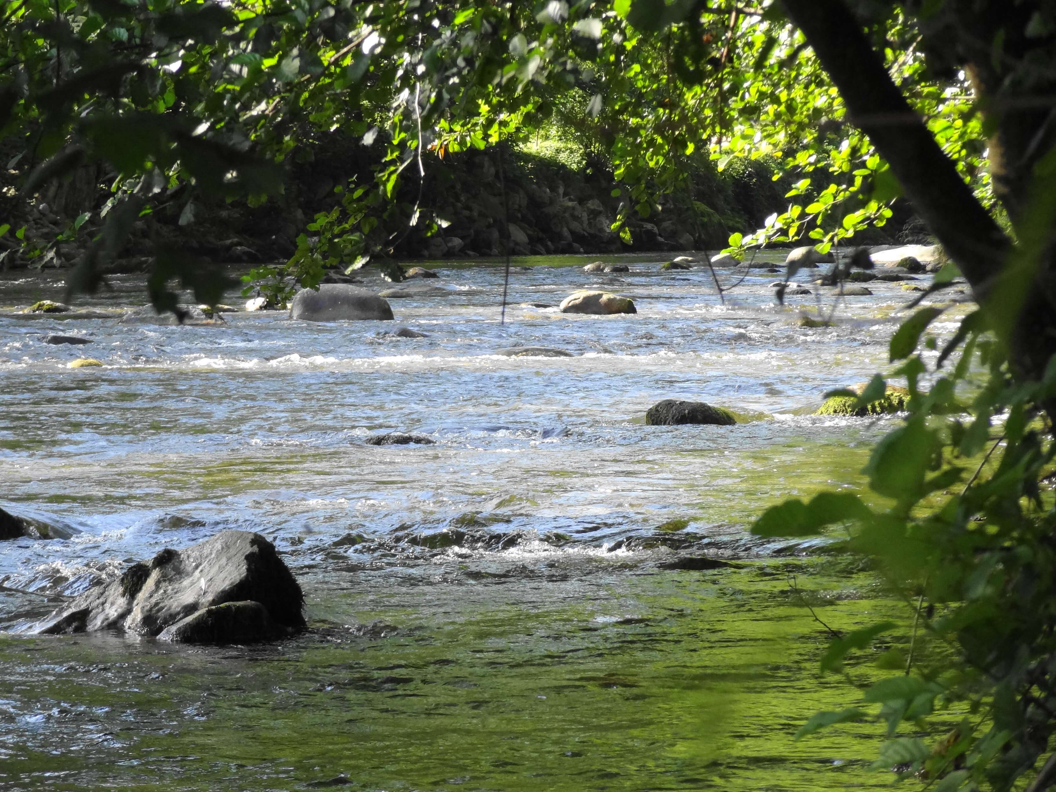 Rivière Vicdessos Pêche à la truite