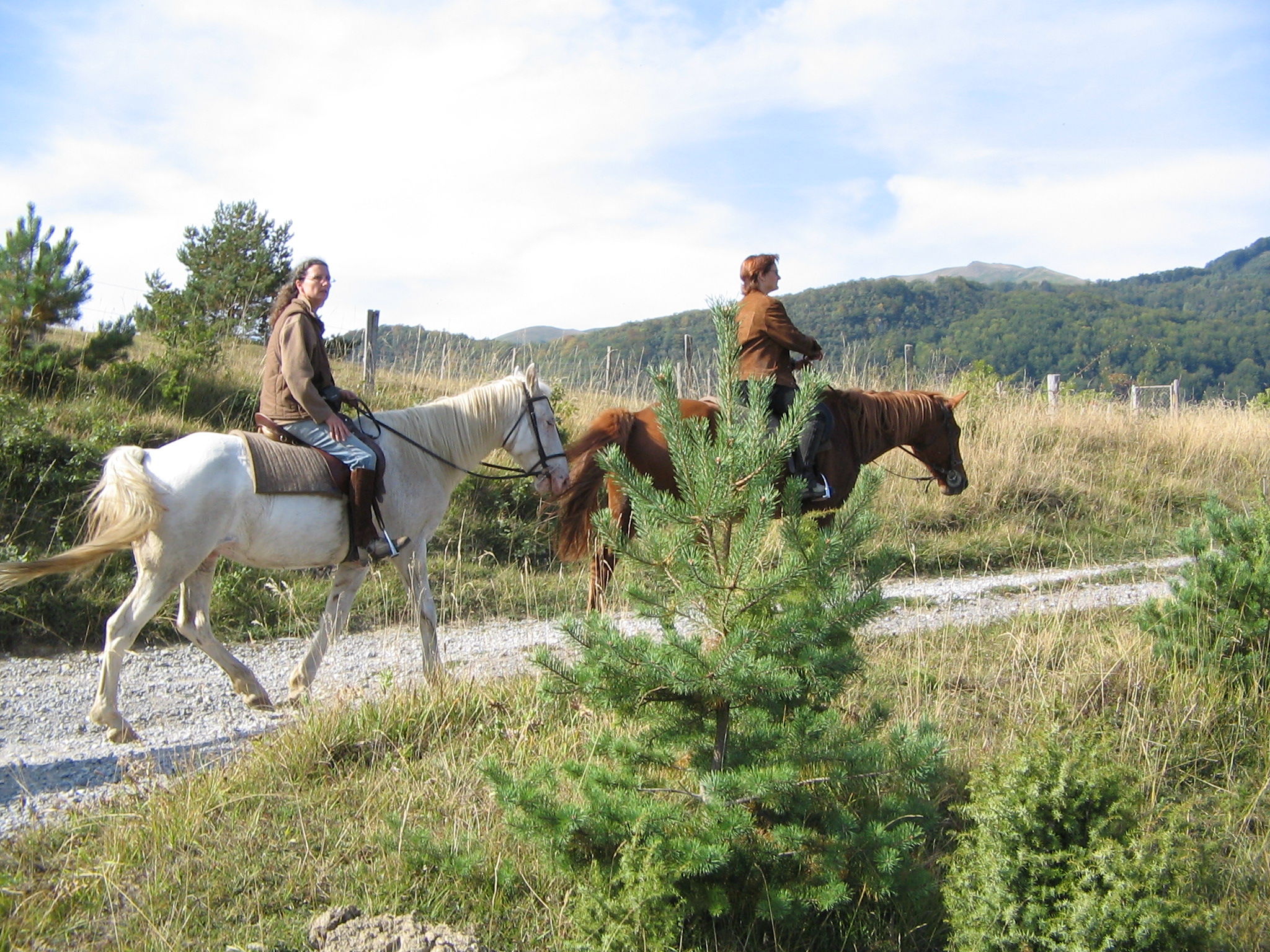Promenade à cheval sur les montagnes environnantes