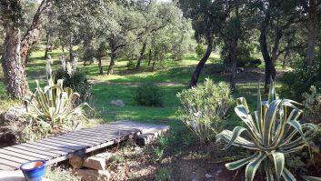 jardin donnant sur un bois