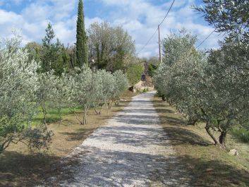 Allée d'accès au MAs de Touvent