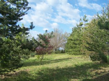 Arboretum