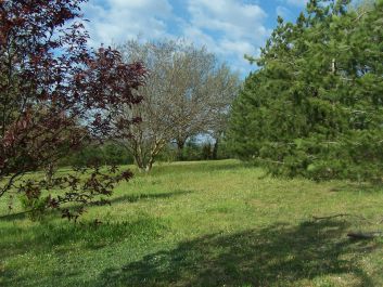 Arboretum