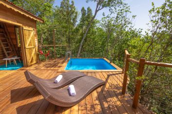 Jungle Lodge au jardin des colibris
